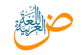إليك يا أستاذ اللغة وعلومها!